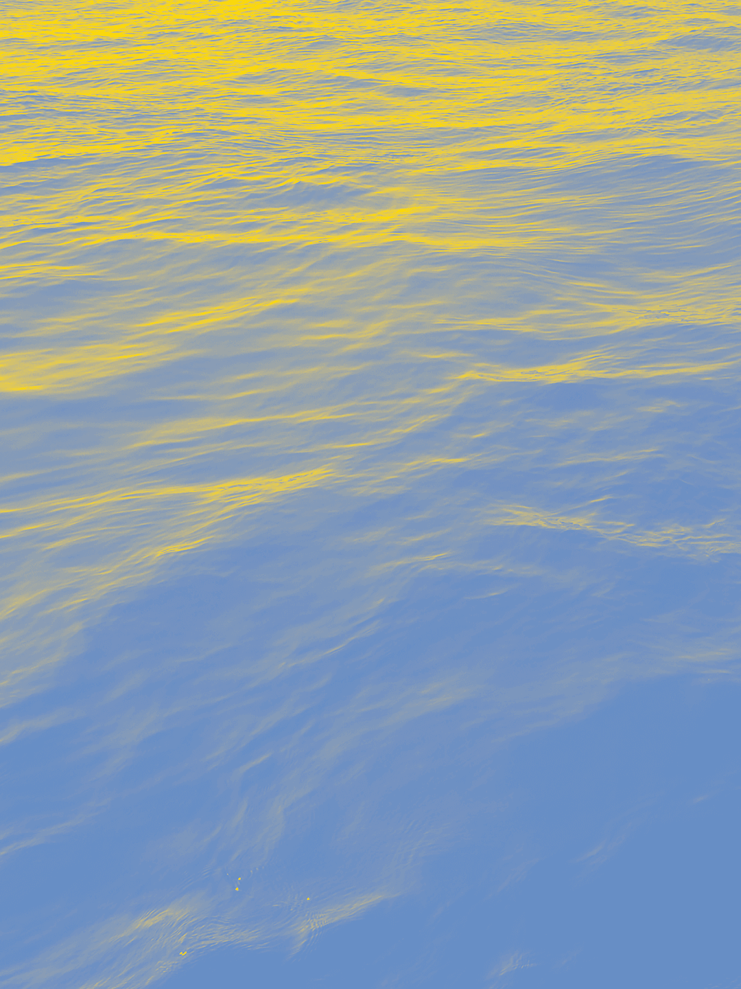 Lectures insolites avec Tisséo